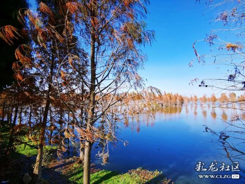 郑凤荣回忆初进国家队,“不屈不挠”是她的人生信念